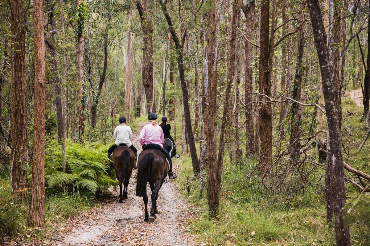 Bush Horse Riding at Don and Christine Burnett Conservation Area, Redlands Coast QLD