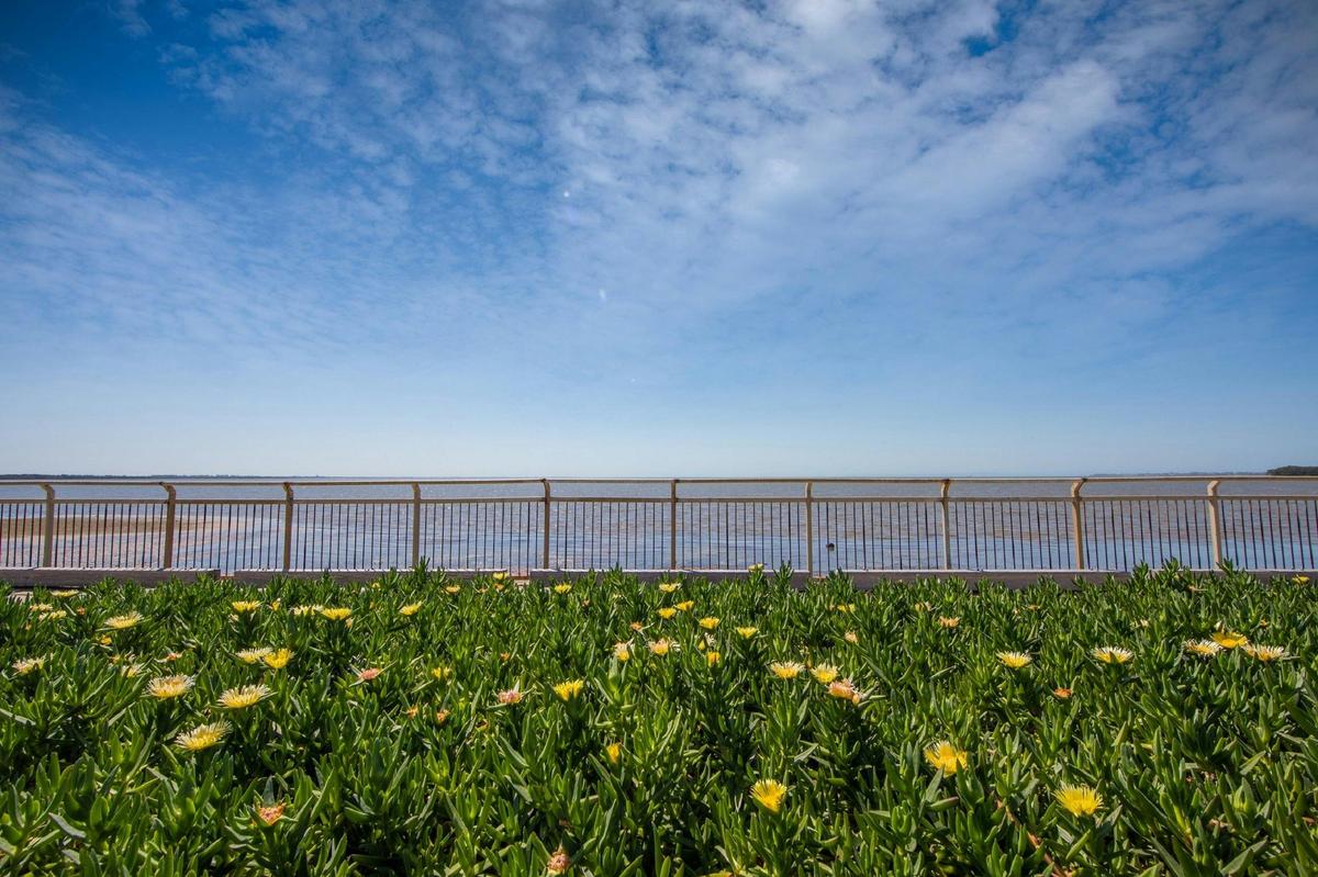Waterfront boardwalk along the Deception Bay Heritage Trail