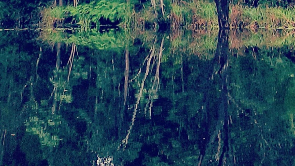 One of our waterways.