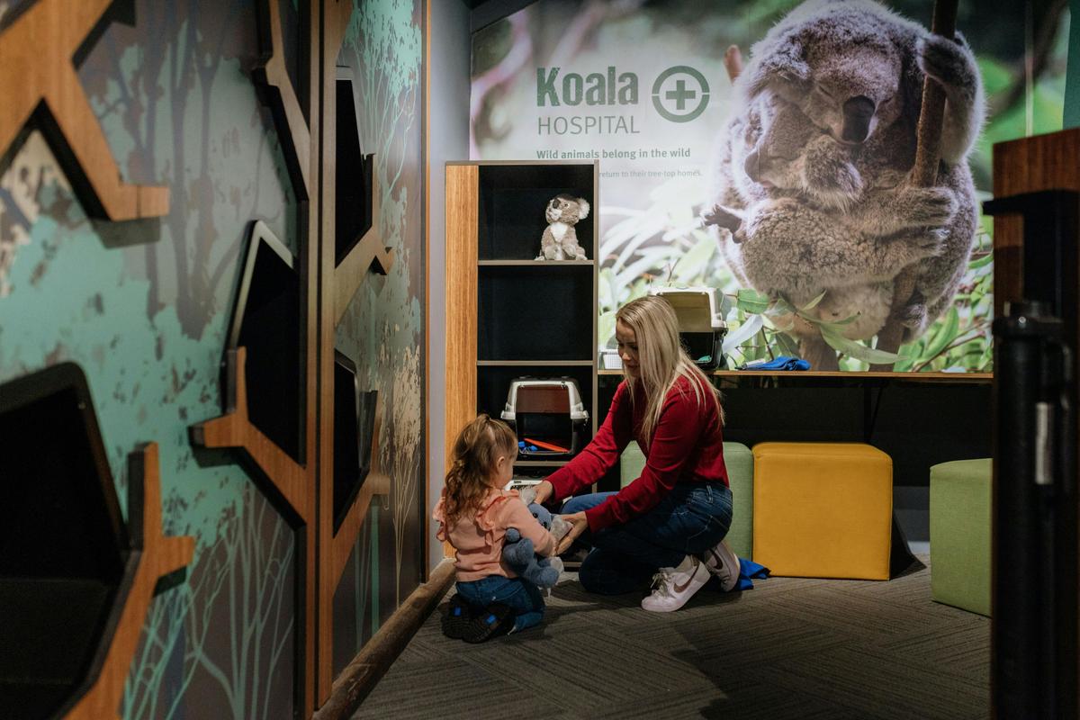 Inspiring the next generation of koala conservationists.