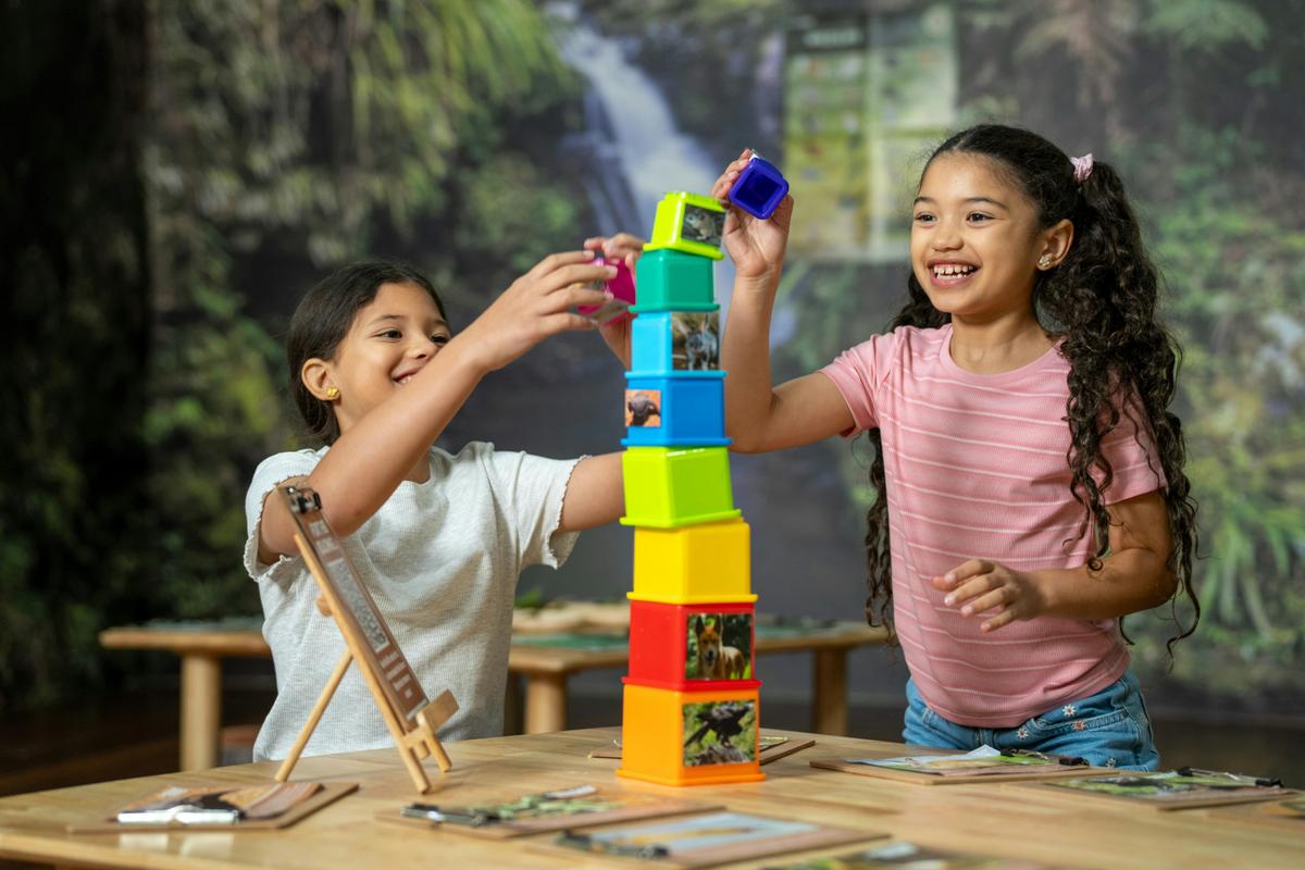 Explore, learn, and play in the Rainforest Room located in the Visitor Centre.