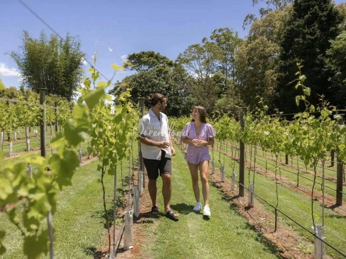 Brisbane to Tamborine Mountain Winery & Distillery Tour