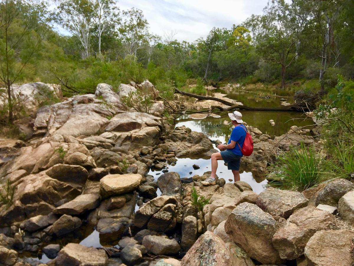 Crows Nest National Park