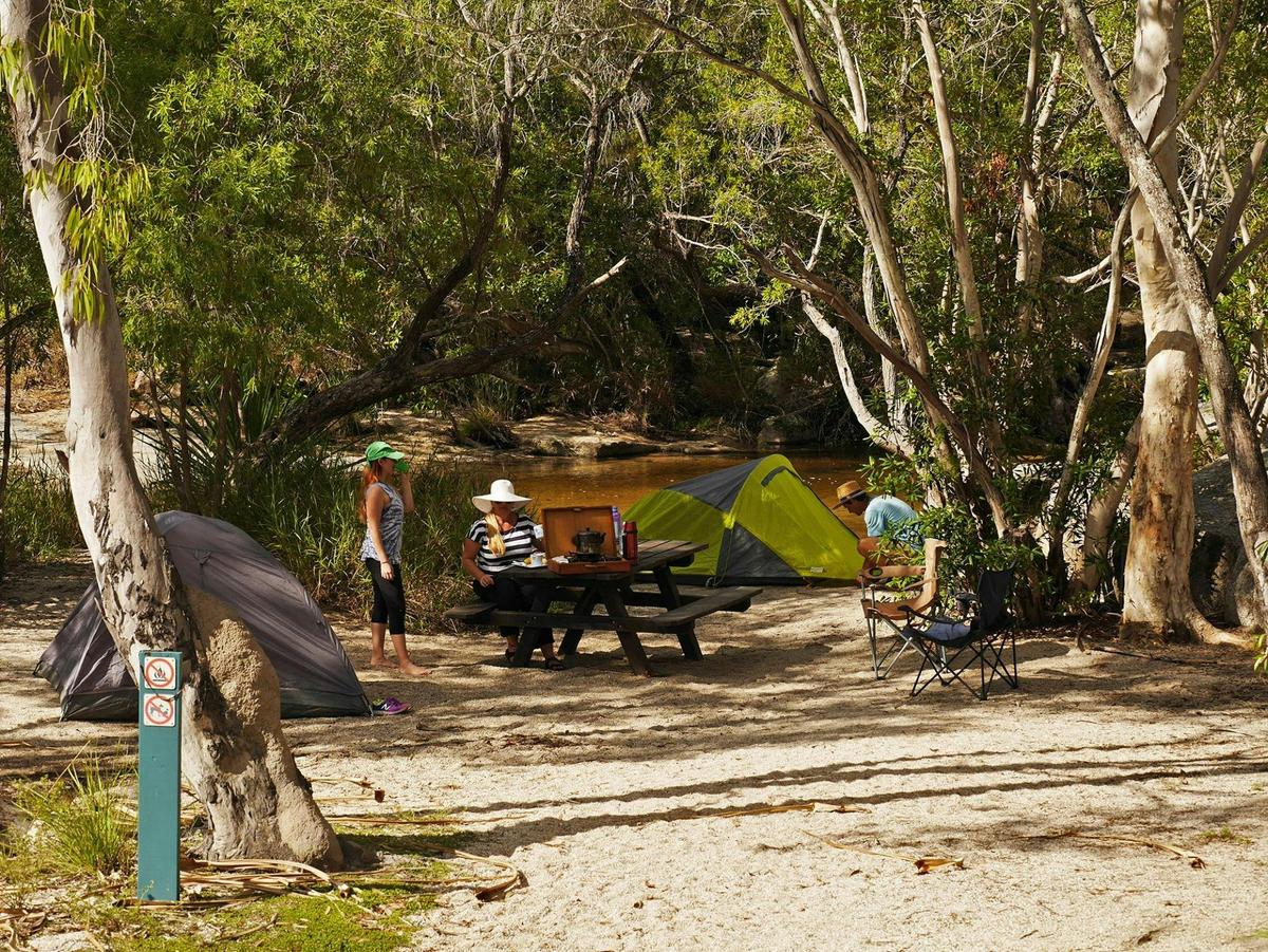 Lower Davies Creek camping area