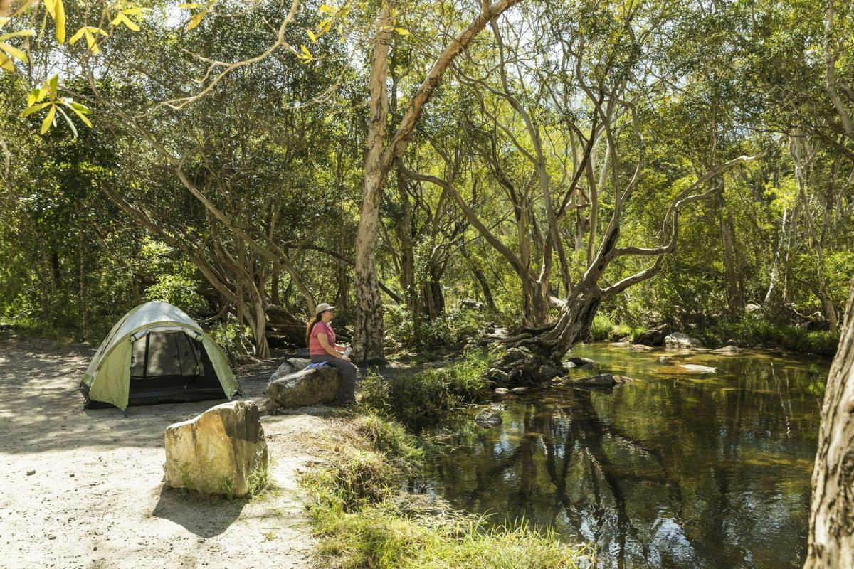 Camp site 2, Upper Davies Creek camping area.