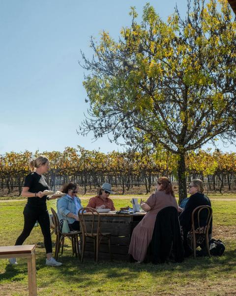 Dear Vincent Wines