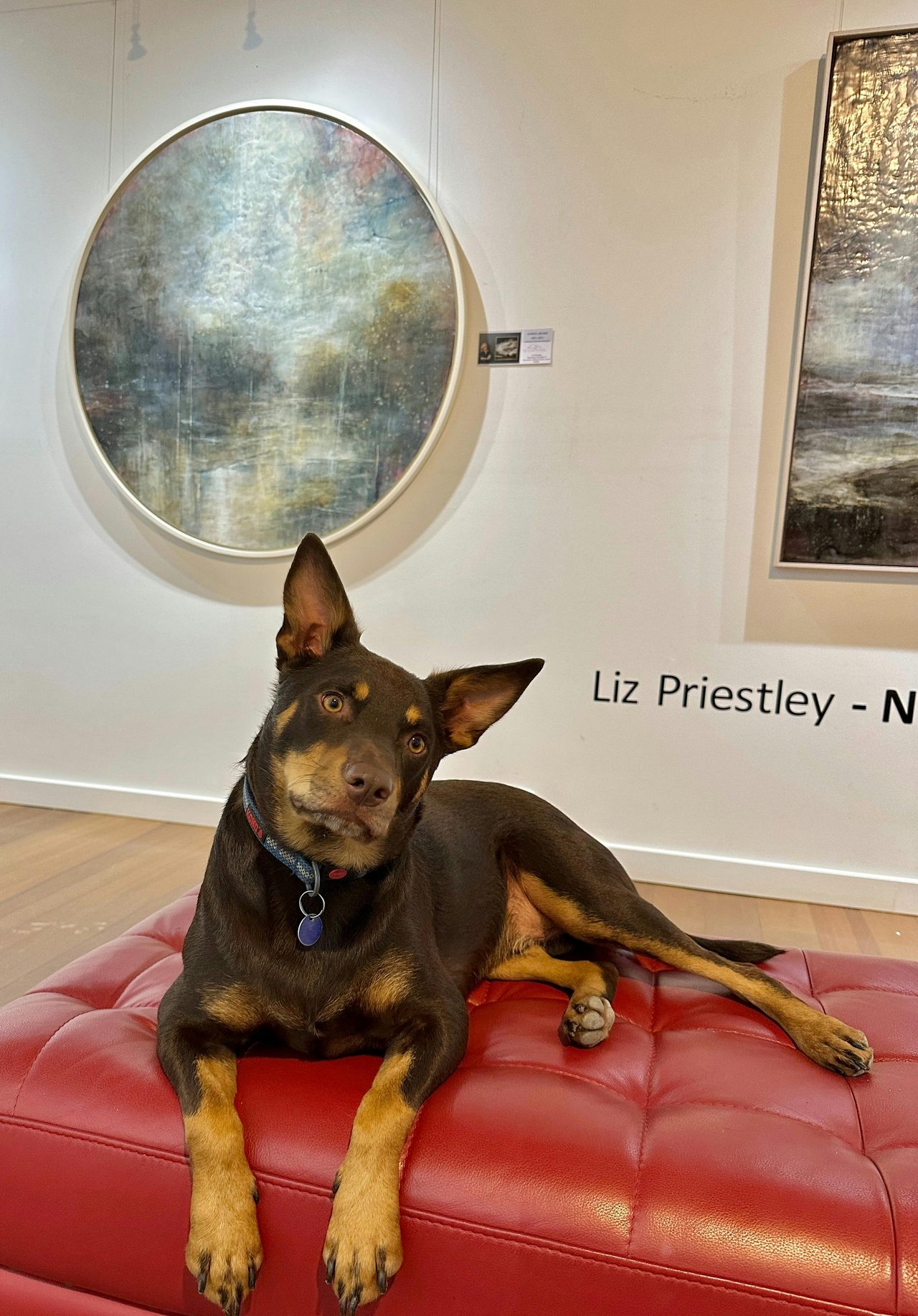 Toto - Gallery Assistant