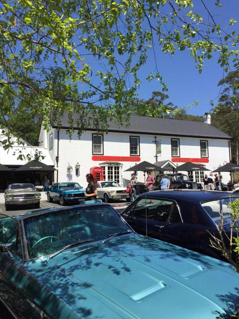Fox and Hounds