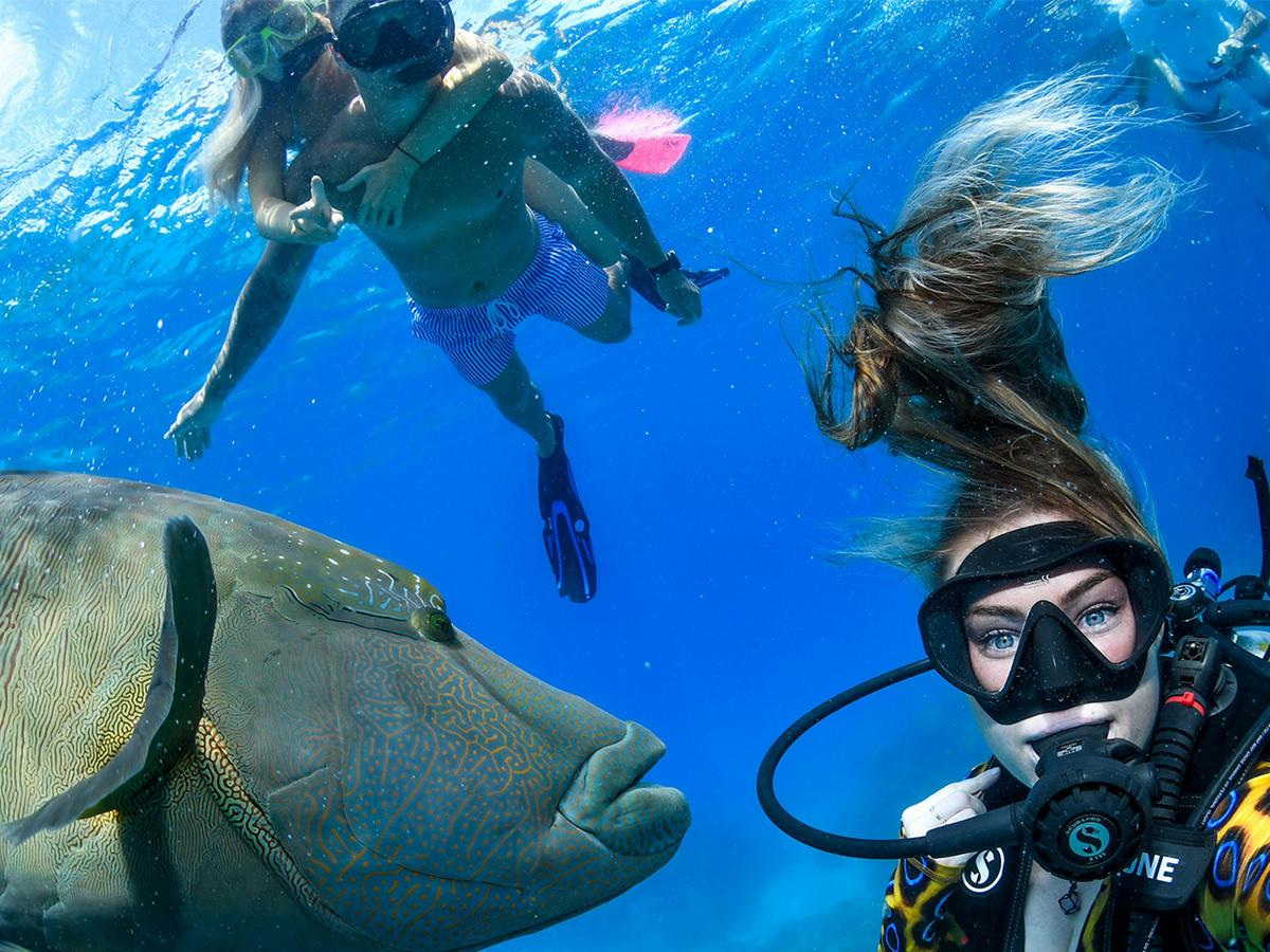 Evolution Outer Reef Cruise with SCUBA Dive