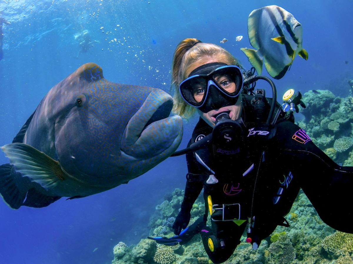 Evolution Outer Reef Cruise with SCUBA Dive