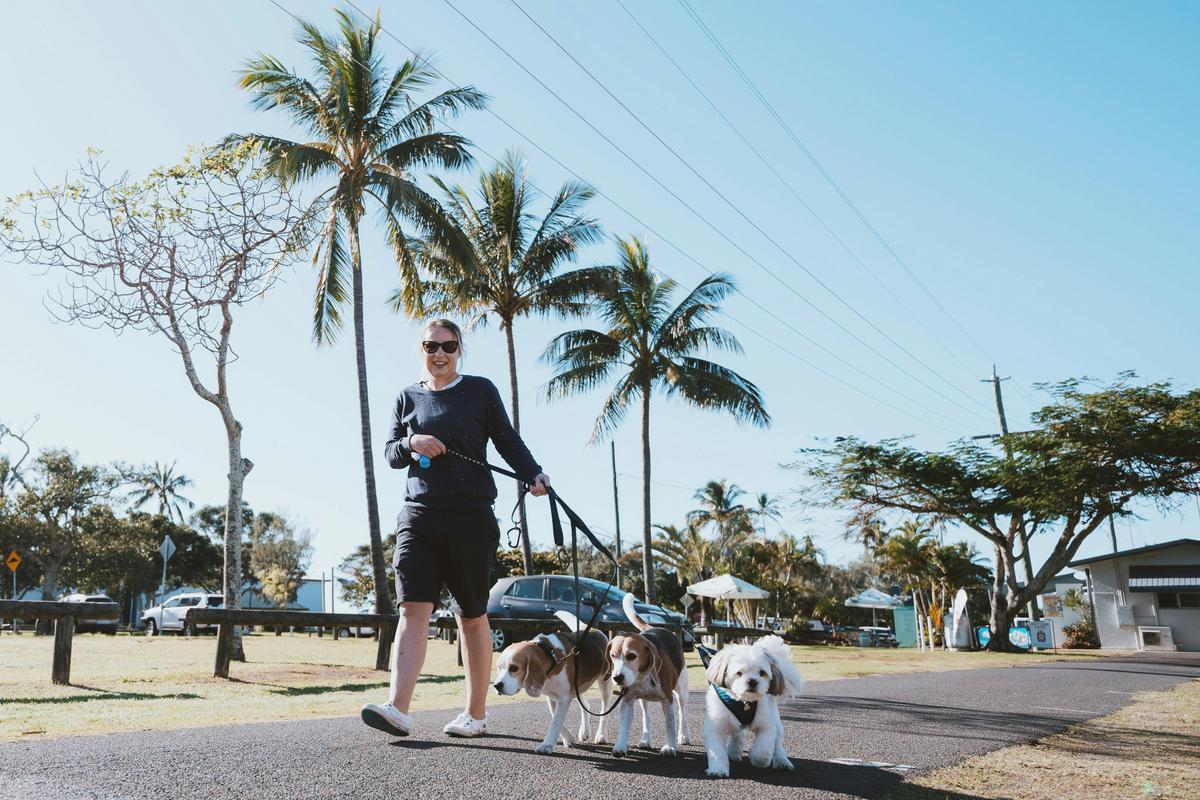 Guest walking their dogs through the park