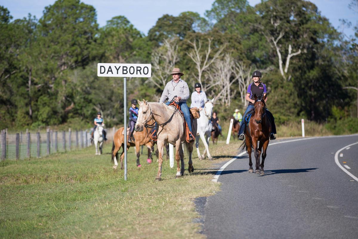 Dayboro Horse Riding Moreton Bay Region