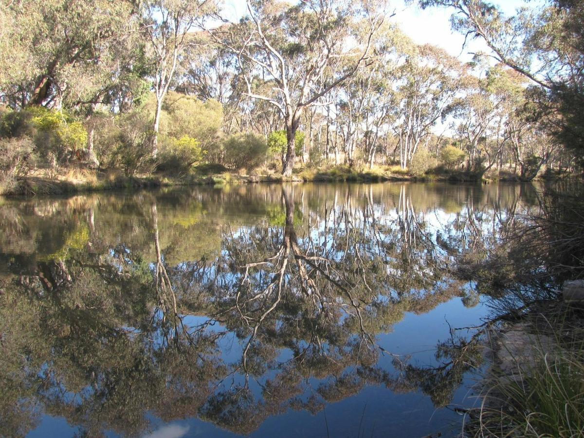 Beautiful reflections at the waterhole near Stanthorpe, Granite Belt in Southern Queensland Country