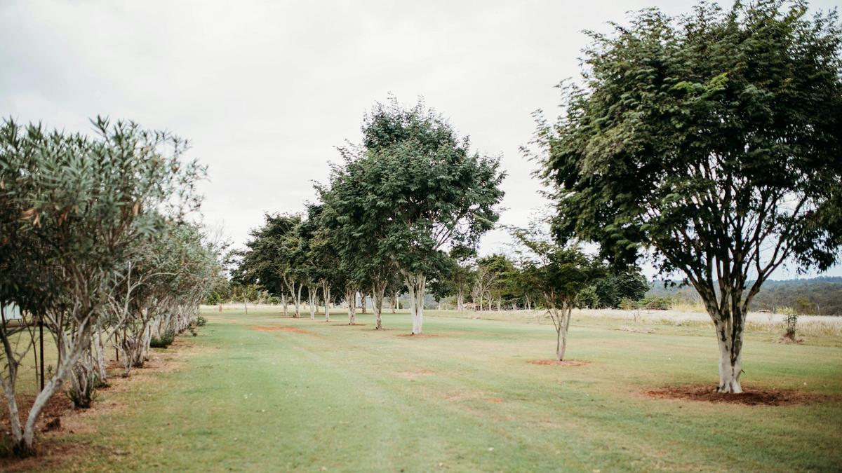 Ellen Grove