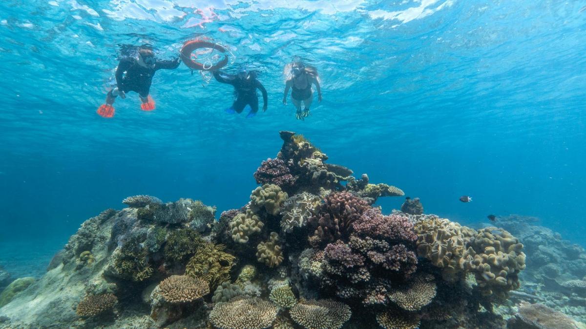 AquaQuest Outer Great Barrier Reef Day Trip from Cairns