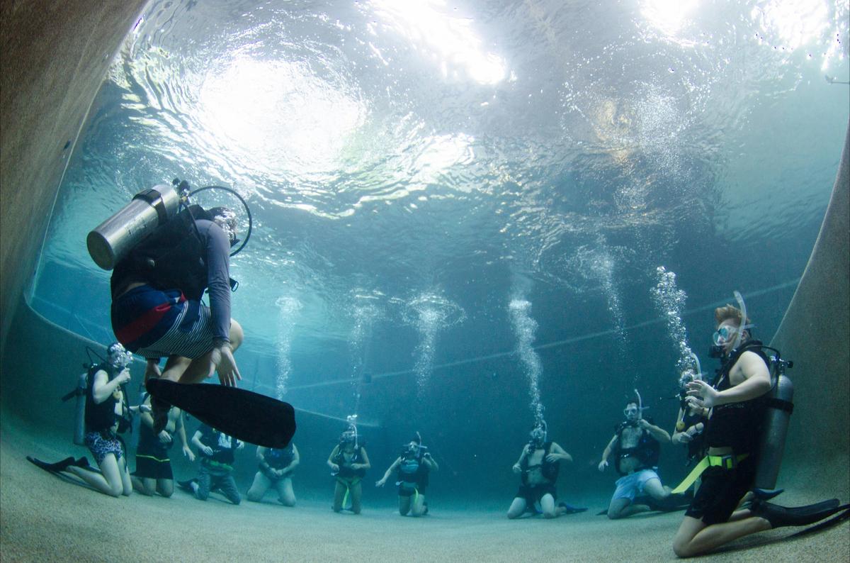PADI Four Day Open Water Course (Day Trips)