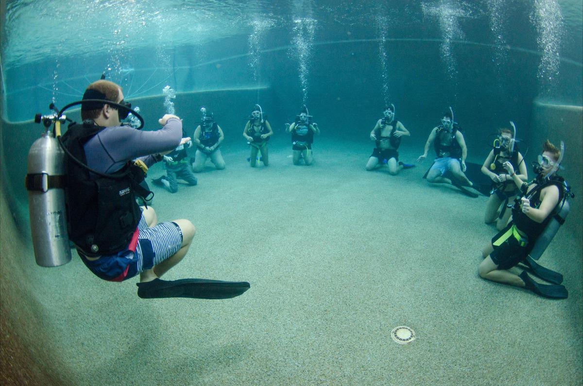 PADI Rescue Diver Course