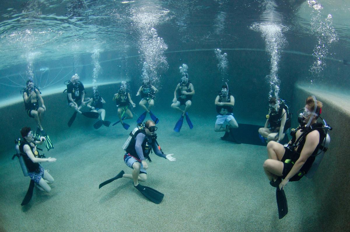 PADI Open Water - Online