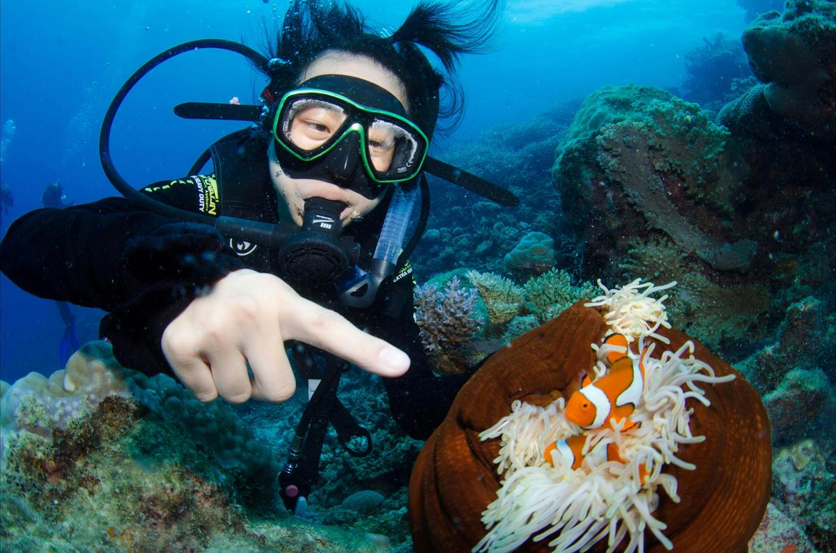 PADI Four Day Open Water Course (Day Trips)