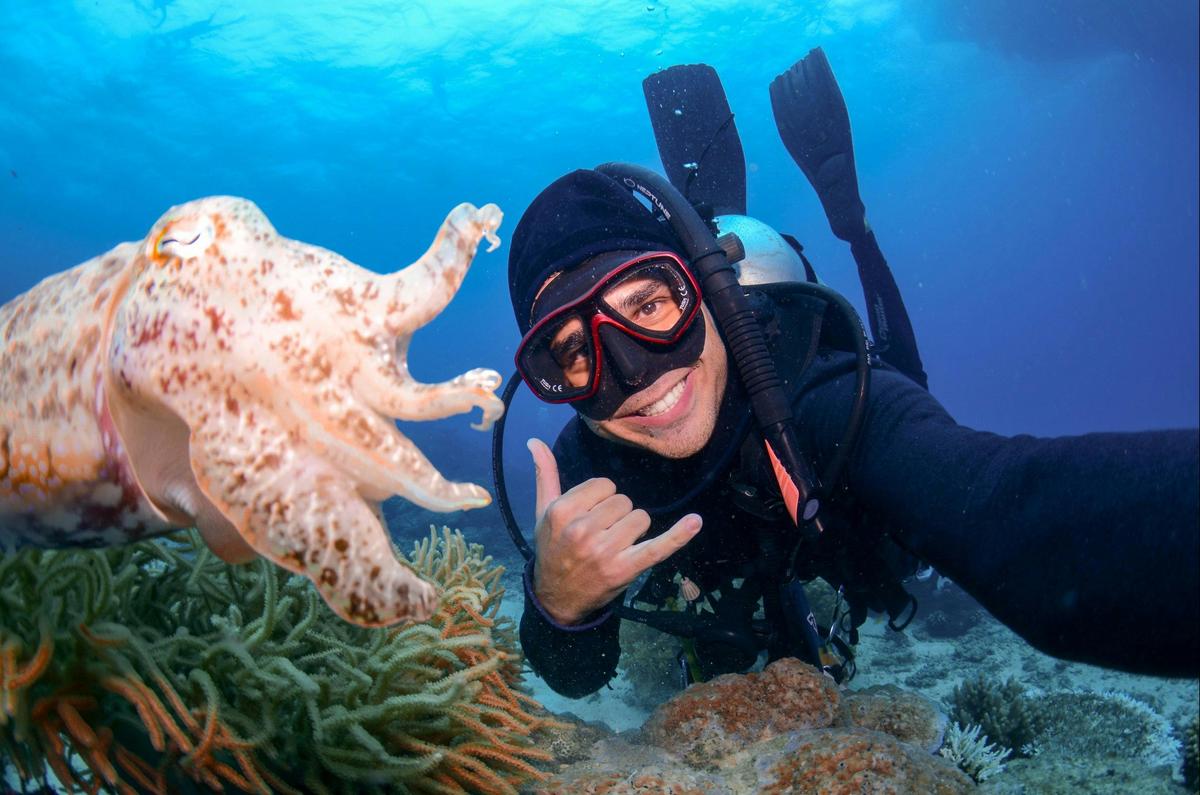AquaQuest Outer Great Barrier Reef Day Trip from Cairns