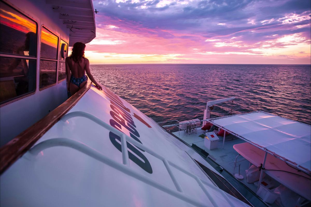 Minke Whale Expedition from Cairns