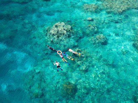 AquaQuest Outer Great Barrier Reef Day Trip from Cairns
