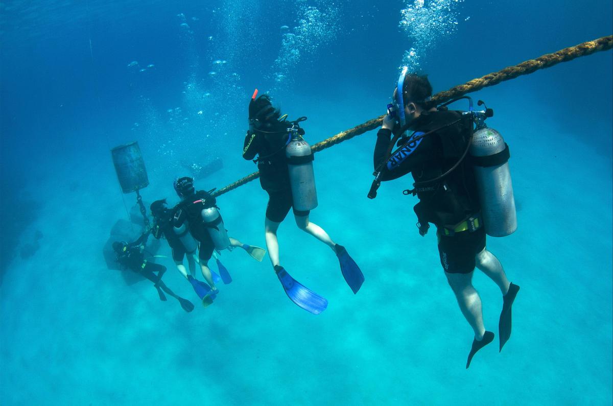 PADI Open Water Course - 4 Day 1 Night Liveaboard