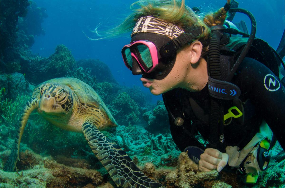 PADI Open Water Course - 4 Day 1 Night Liveaboard
