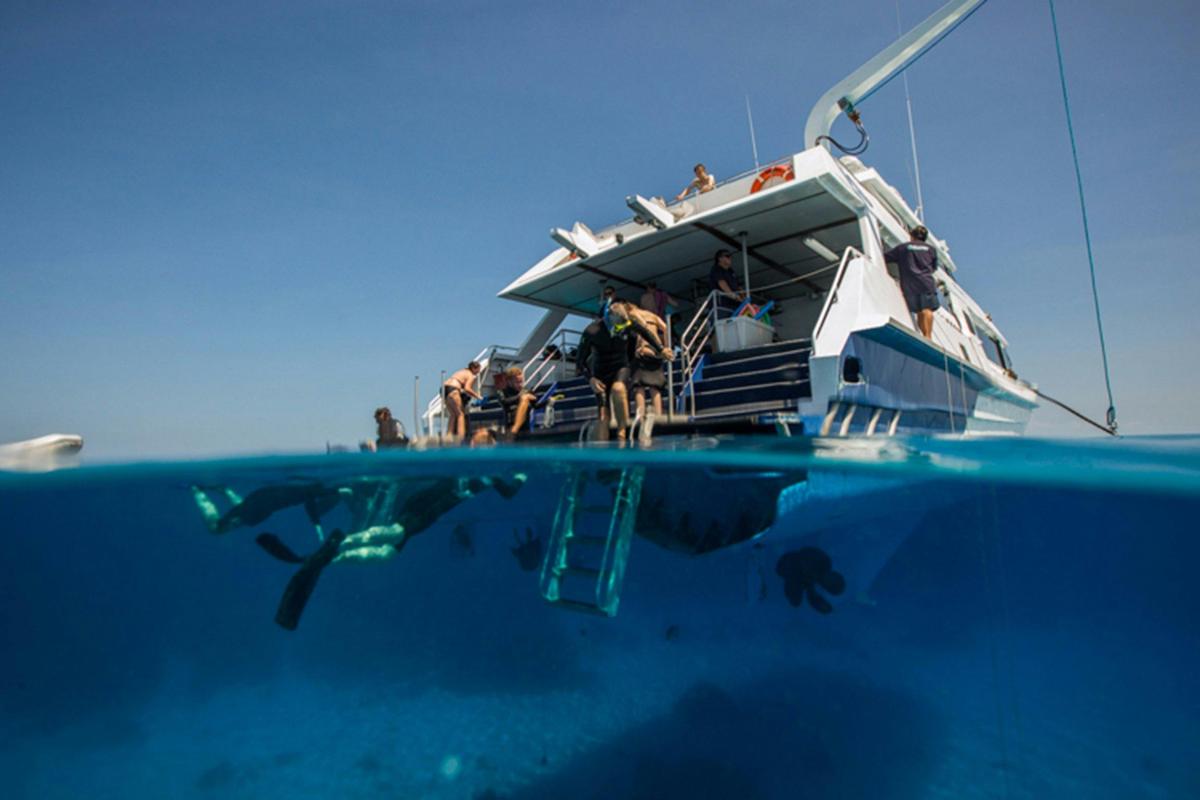 PADI Open Water - Online