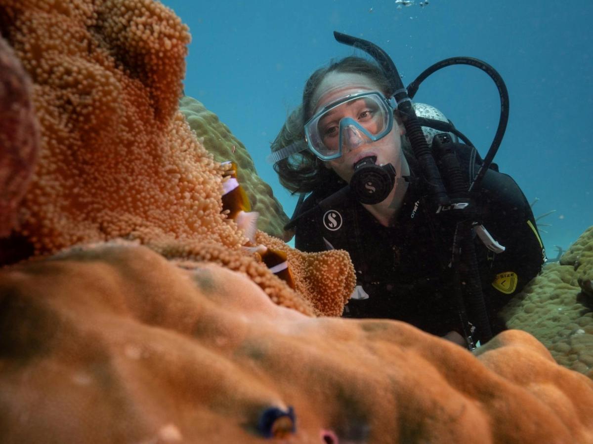AquaQuest Outer Great Barrier Reef Day Trip from Cairns