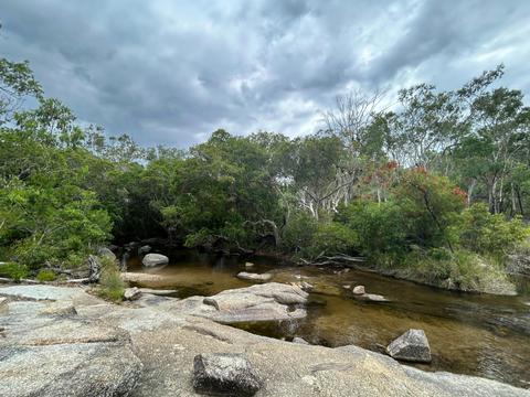 Forest and Waterfalls Half Day 4WD Adventure