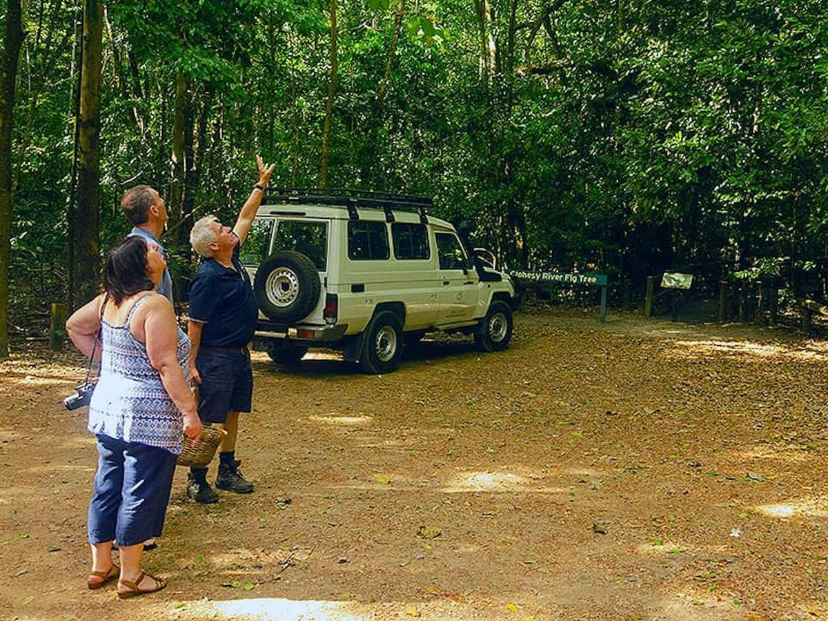 Forest and Waterfalls Half Day 4WD Adventure