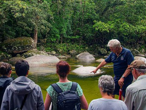 Cape Tribulation, Daintree & Mossman Gorge Premium Rainforest Tour