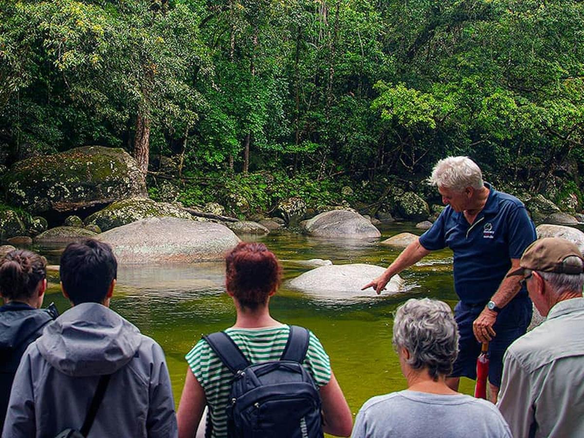 Cape Tribulation, Daintree & Mossman Gorge Premium Rainforest Tour