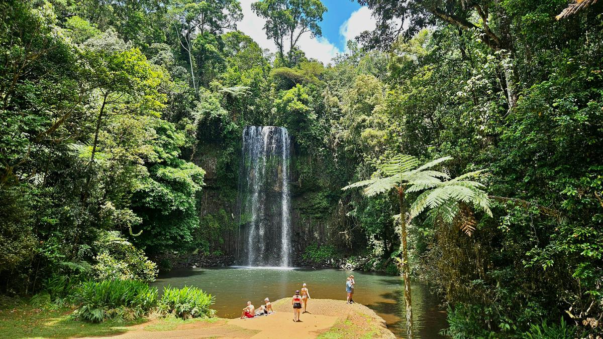 Milla Milla Falls - Discovery Tours Australia