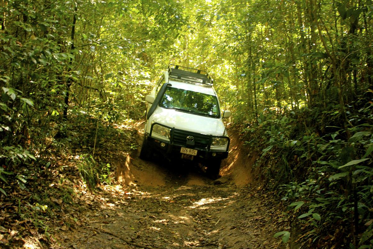 Forest and Waterfalls Half Day 4WD Adventure