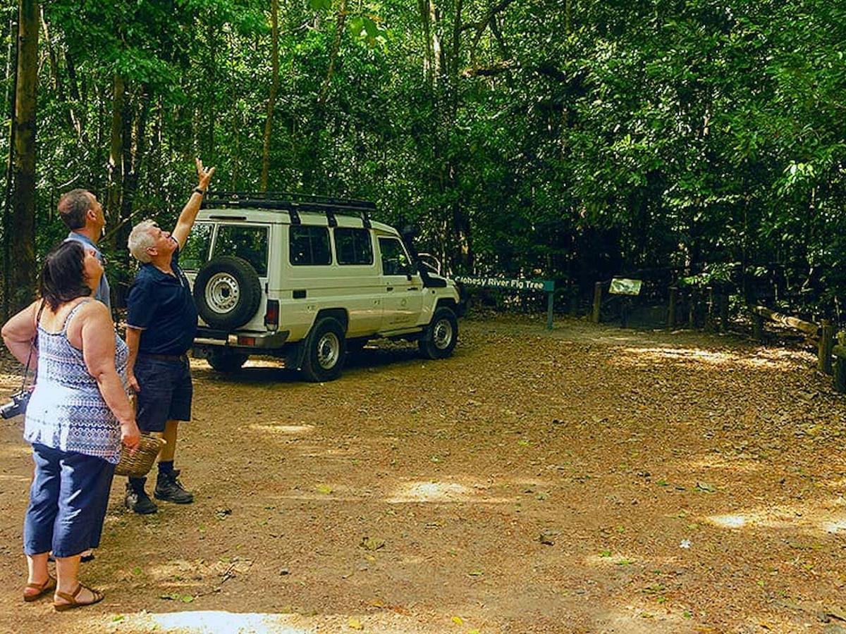 Savannah Way Explorer: Cairns - Darwin 10-Day Tour