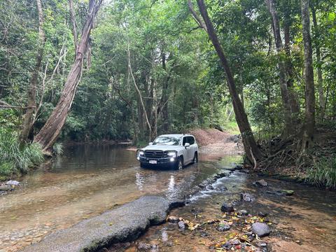 Forest and Waterfalls Half Day 4WD Adventure