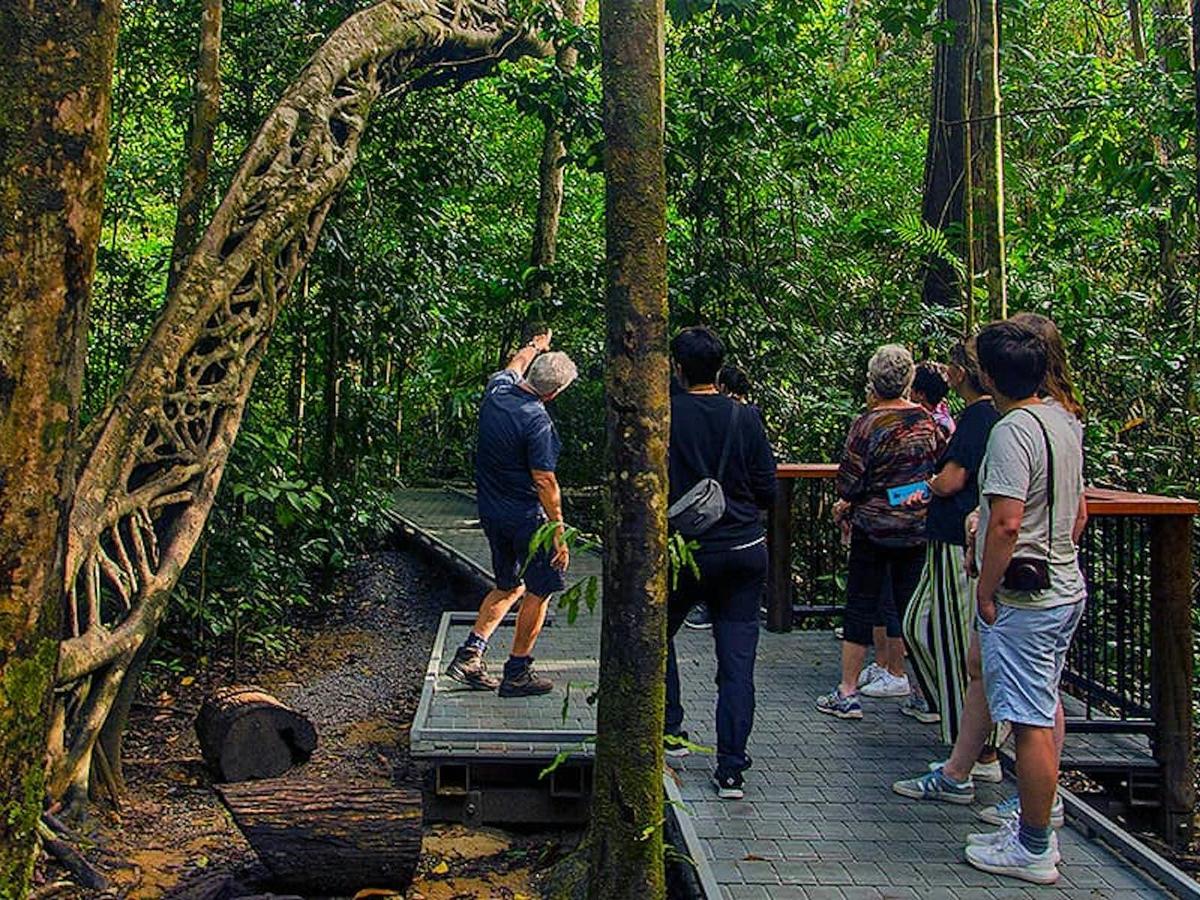 Cape Tribulation, Daintree & Mossman Gorge Premium Rainforest Tour