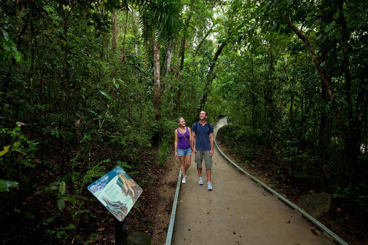 Cooktown, Daintree & Outback 3-Day Tour