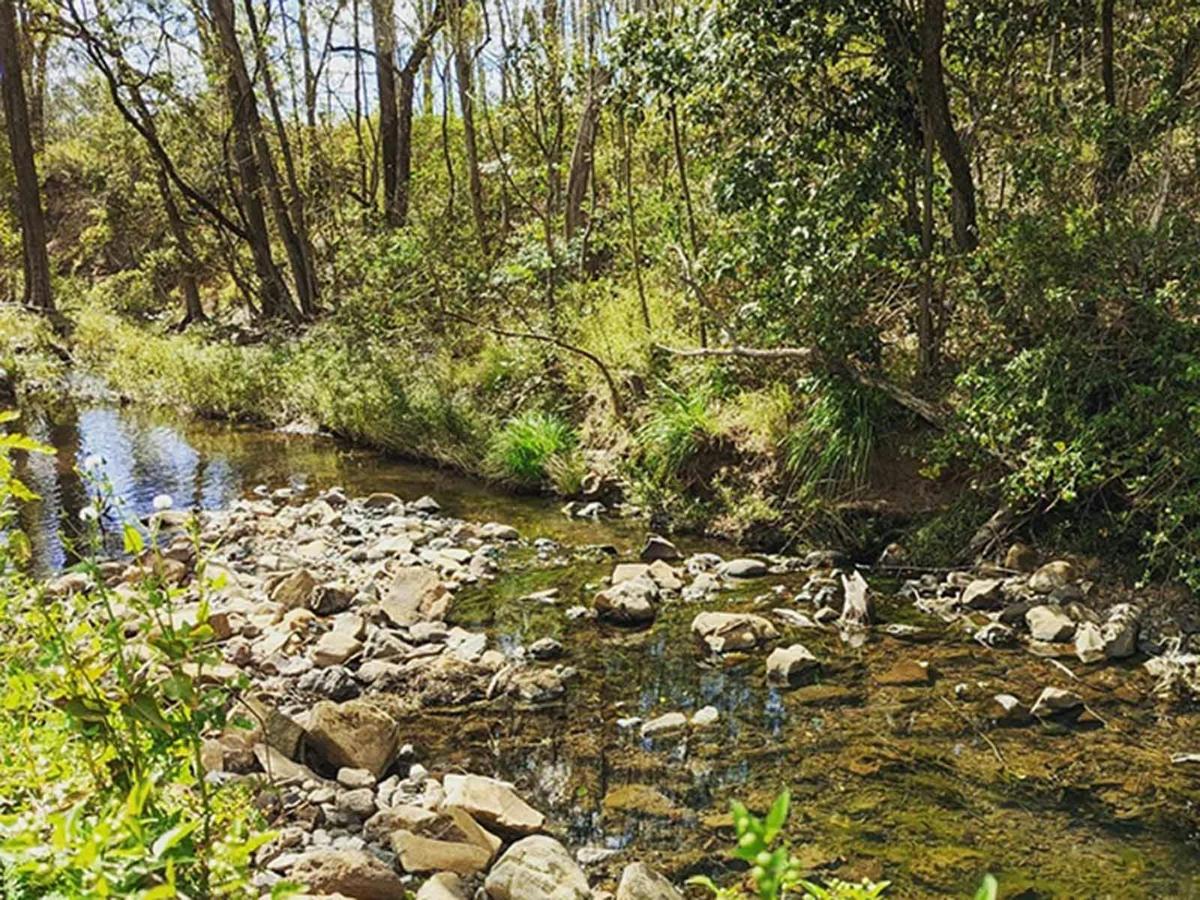 Creek