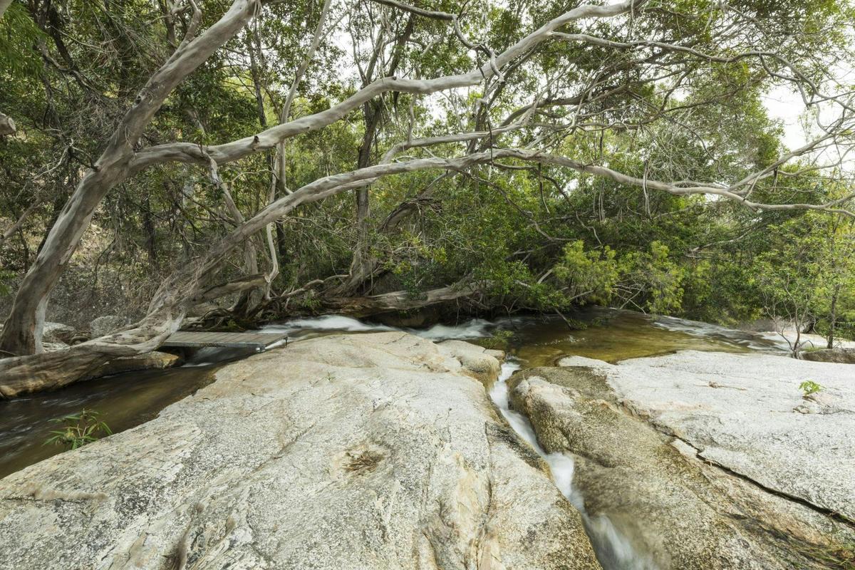 Emerald Creek, Dinden West Forest Reserve