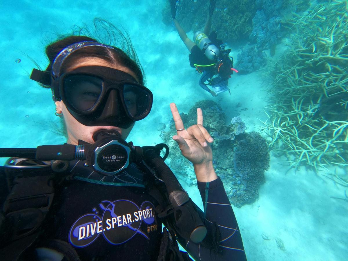 Divers in the clear blue waters