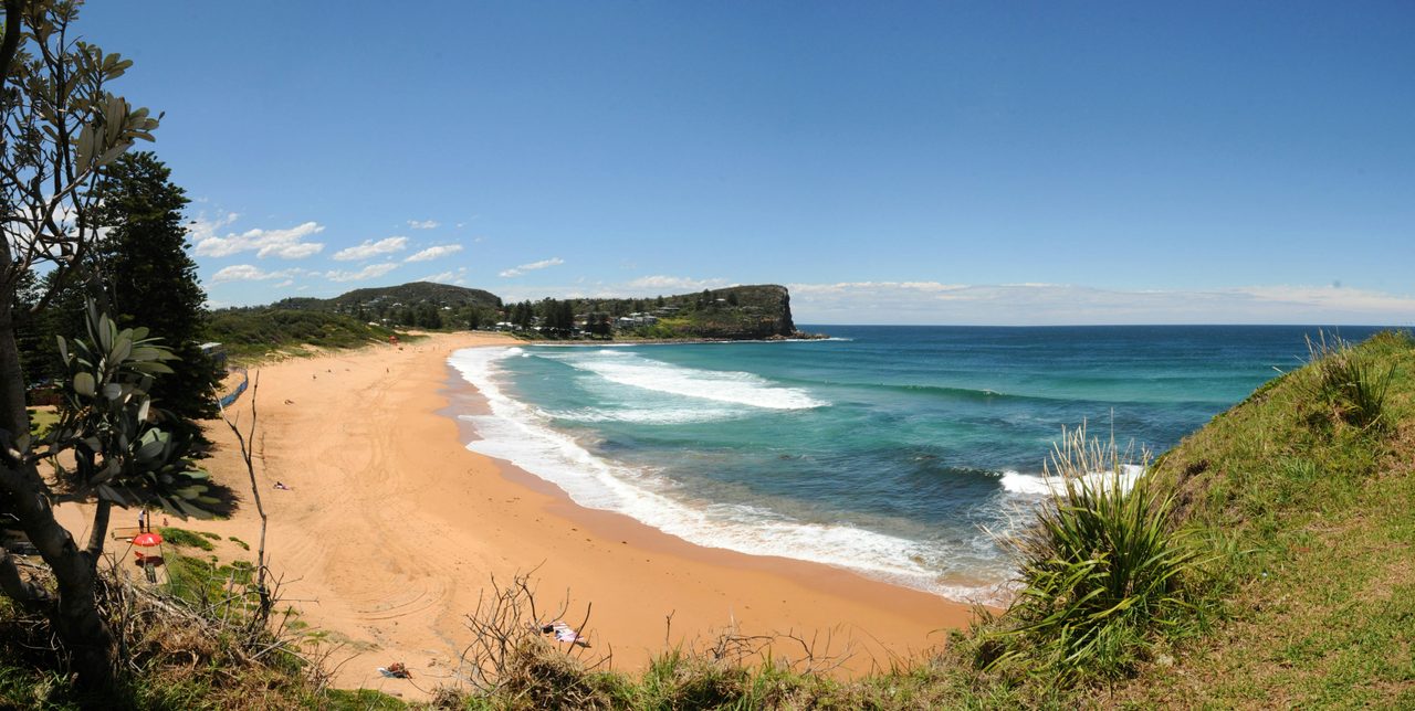 Avalon Beach
