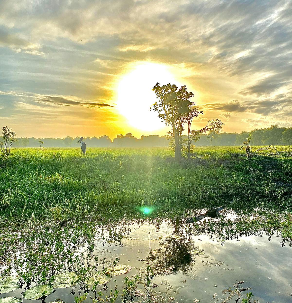 Kakadu - Cairns to Darwin 10 Day Adventure