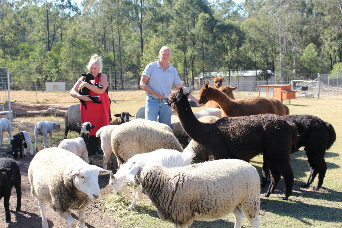 Haigslea EWE-Nique