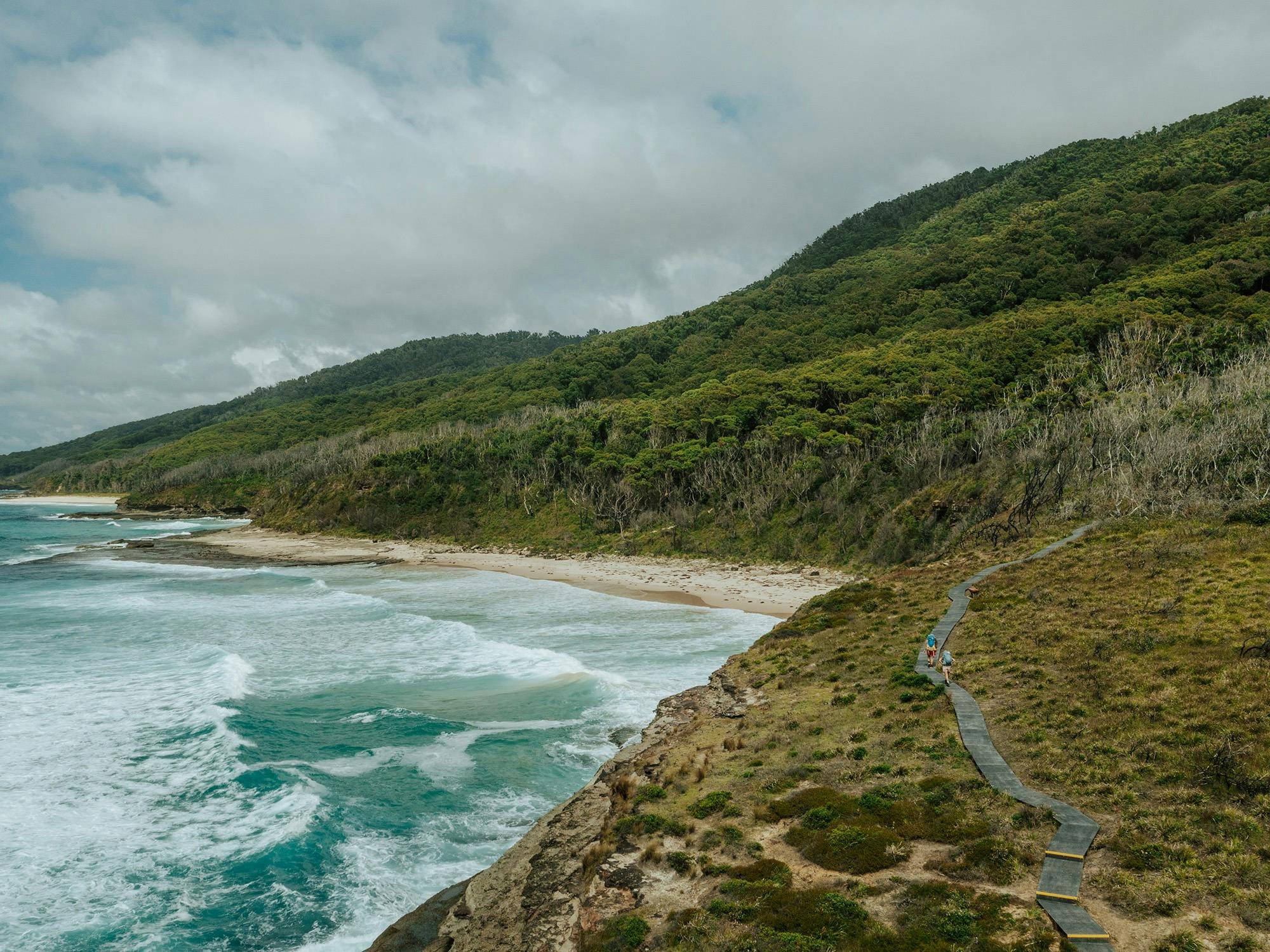 The track between Pretty Beach and Pebbly Beach on the Murramarang South Coast Walk