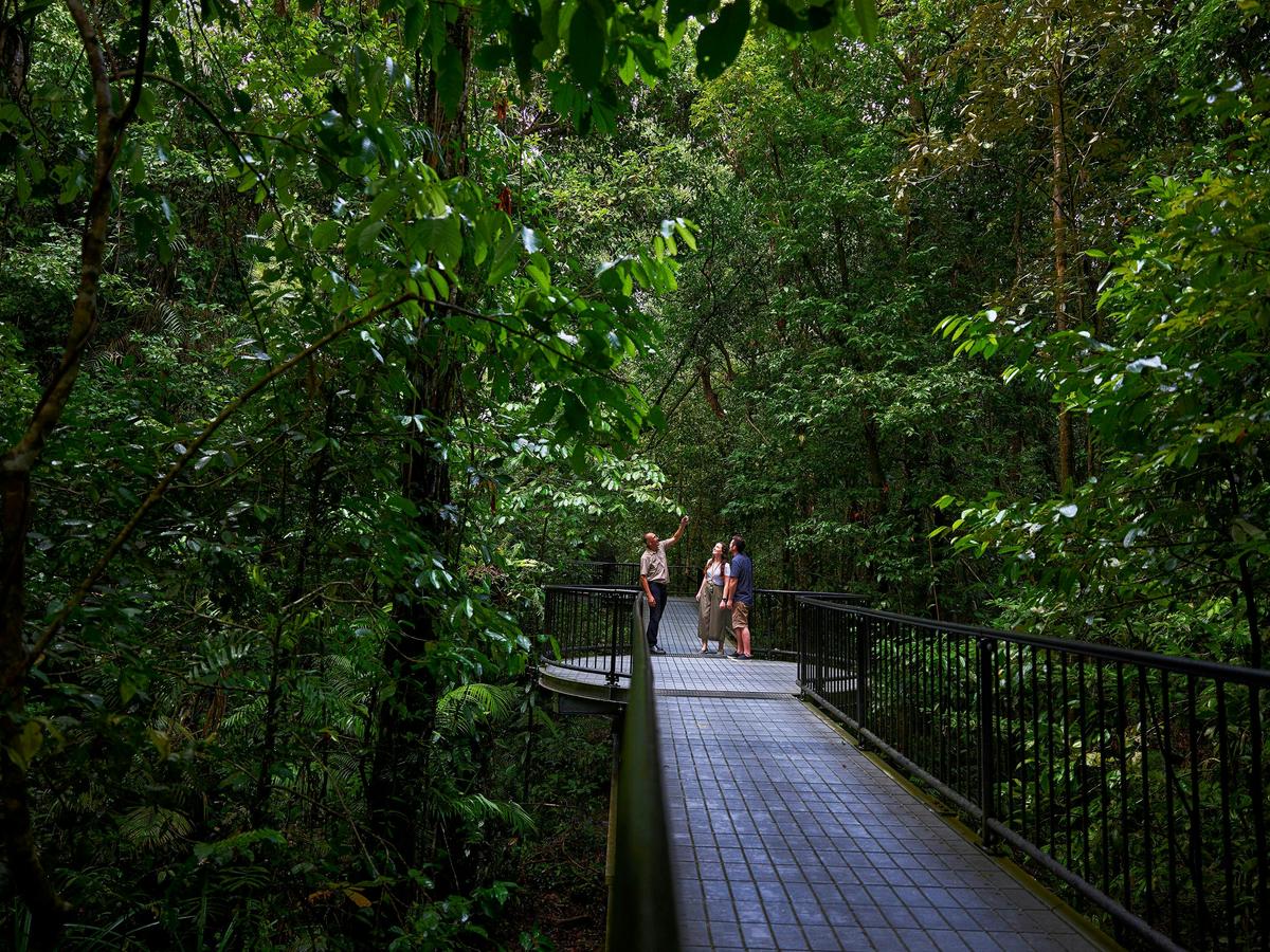 Discover the oldest tropical rainforest in the world with experienced and knowledgeable guides.