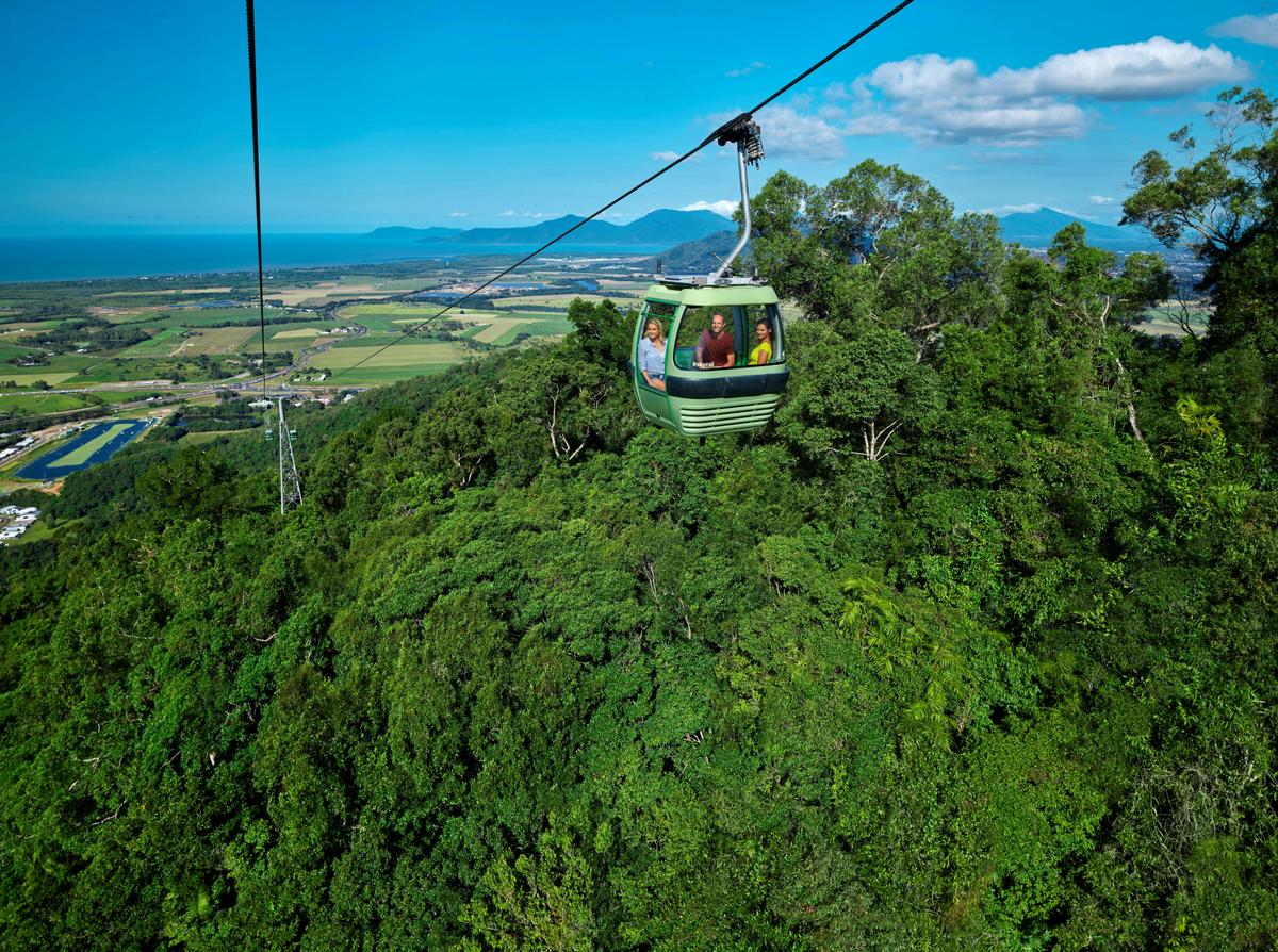 Waterfall, Wetlands and Skyrail