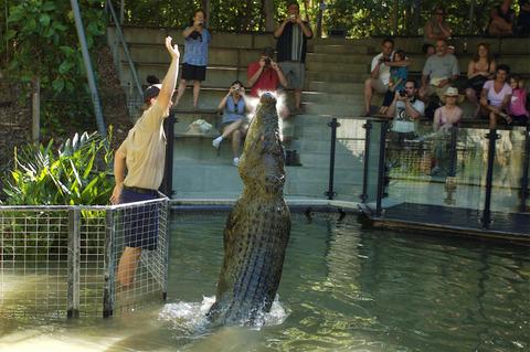 Hartleys Crocodile Adventures